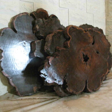 Buck Eye Burls-4